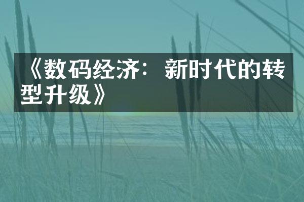 《数码经济：新时代的转型升级》