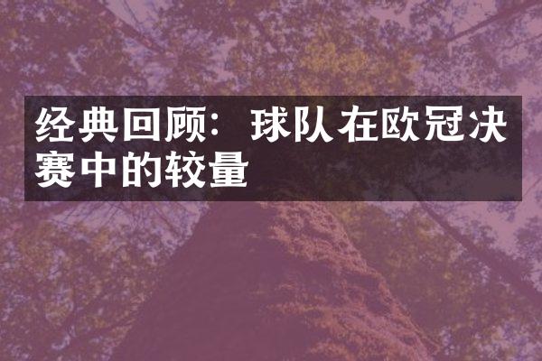 经典回顾：球队在欧冠决赛中的较量