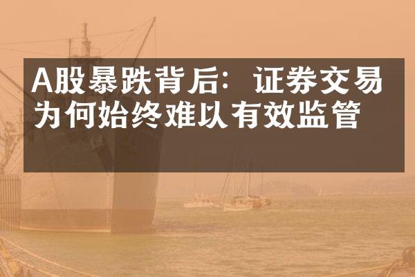 A股暴跌背后：证券交易所为何始终难以有效监管？