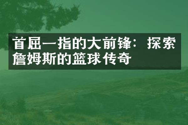 首屈一指的大前锋：探索詹姆斯的篮球传奇