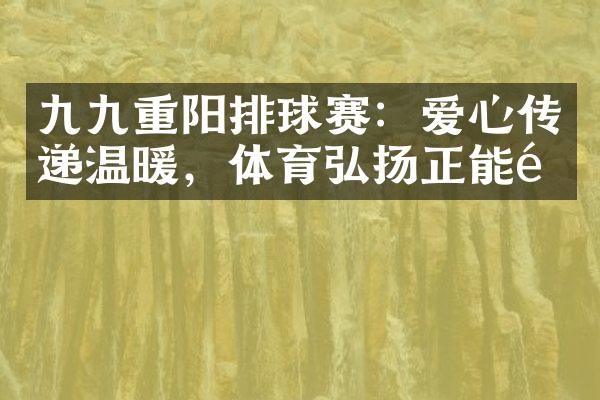 九九重阳排球赛：爱心传递温暖，体育弘扬正能量