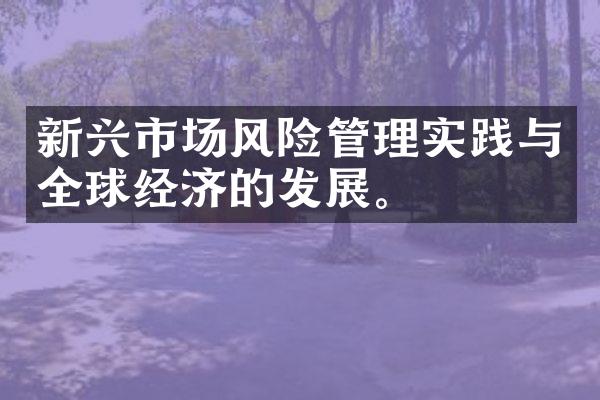 新兴市场风险管理实践与全球经济的发展。