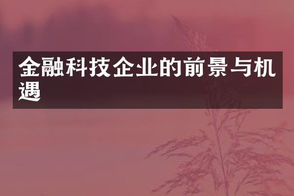 金融科技企业的前景与机遇