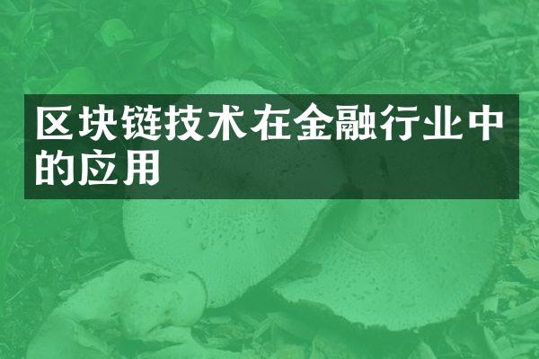 区块链技术在金融行业中的应用