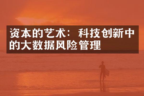 资本的艺术：科技创新中的大数据风险管理