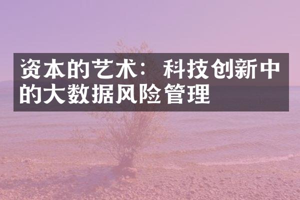 资本的艺术：科技创新中的大数据风险管理