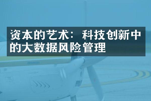 资本的艺术：科技创新中的大数据风险管理