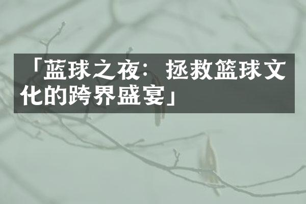 「蓝球之夜：拯救篮球文化的跨界盛宴」