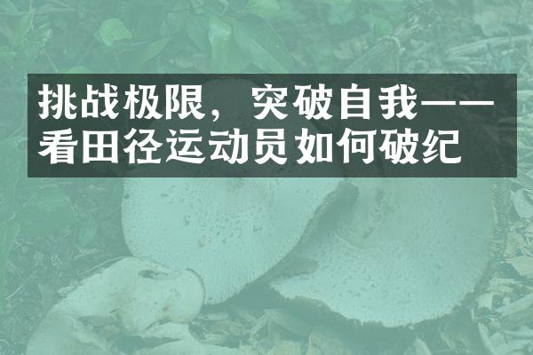 挑战极限，突破自我——看田径运动员如何破纪录