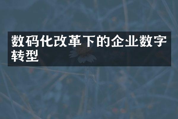 数码化改革下的企业数字转型