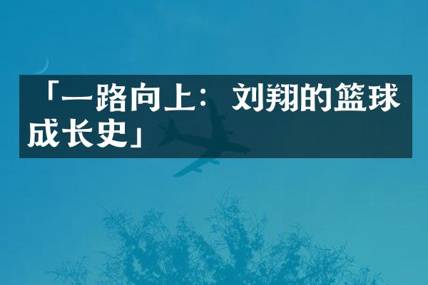 「一路向上：刘翔的篮球成长史」