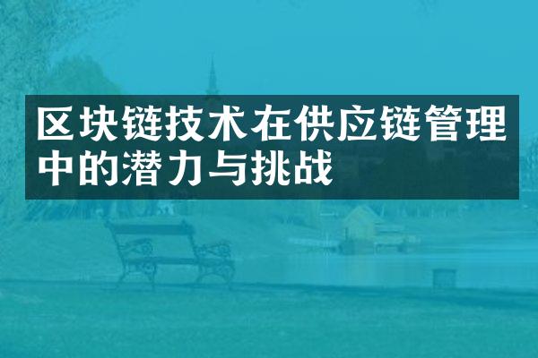 区块链技术在供应链管理中的潜力与挑战