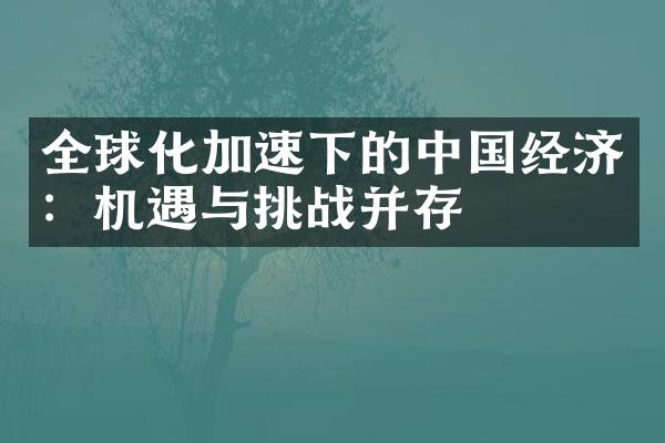 全球化加速下的中国经济：机遇与挑战并存