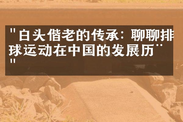 "白头偕老的传承: 聊聊排球运动在中国的发展历程"