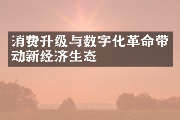 消费升级与数字化革命带动新经济生态