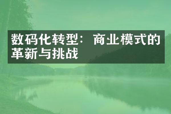 数码化转型：商业模式的革新与挑战