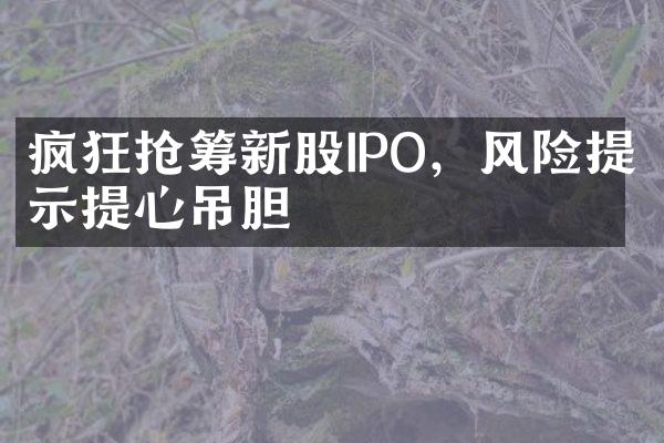 疯狂抢筹新股IPO，风险提示提心吊胆