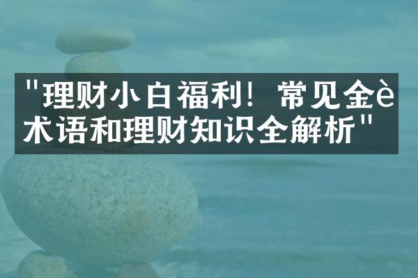 "理财小白福利！常见金融术语和理财知识全解析"