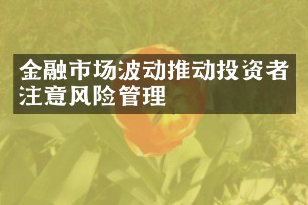 金融市场波动推动投资者注意风险管理