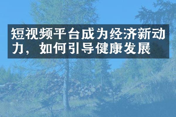 短视频平台成为经济新动力，如何引导健康发展？