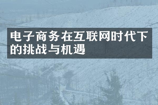 电子商务在互联网时代下的挑战与机遇