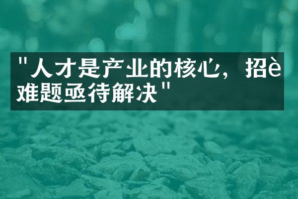 "人才是产业的核心，招聘难题亟待解决"