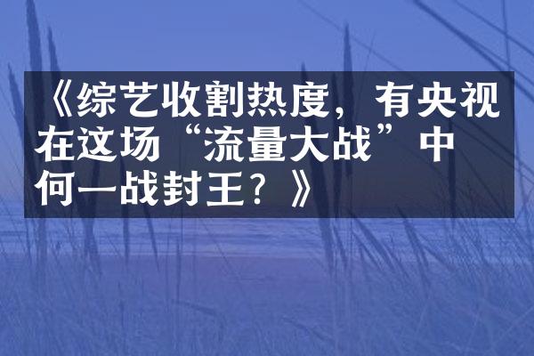 《综艺收割热度，有央视在这场“流量战”中如何一战封王？》