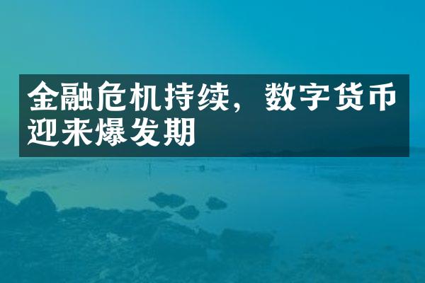 金融危机持续，数字货币迎来爆发期