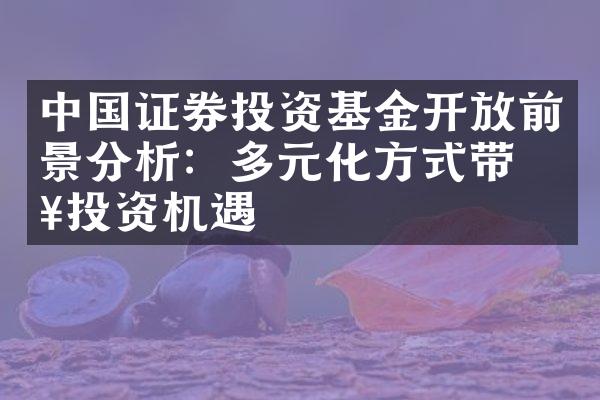 中国证券投资基金开放前景分析：多元化方式带来投资机遇