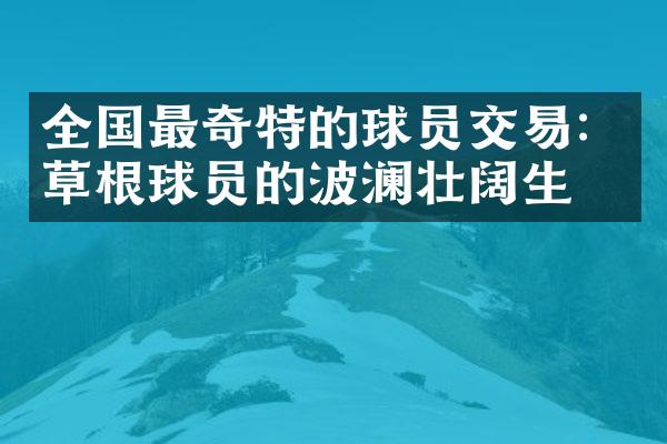 全国最奇特的球员交易：草根球员的波澜壮阔生涯