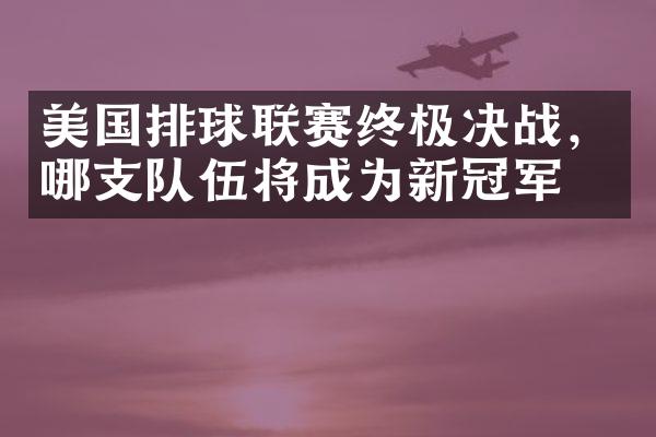 美国排球联赛终极决战，哪支队伍将成为新冠军？