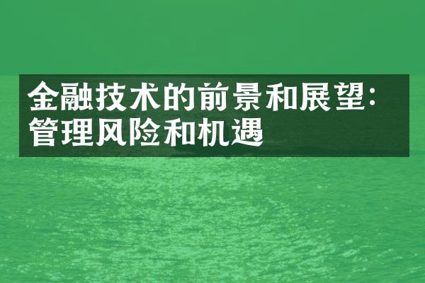 金融技术的前景和展望：管理风险和机遇