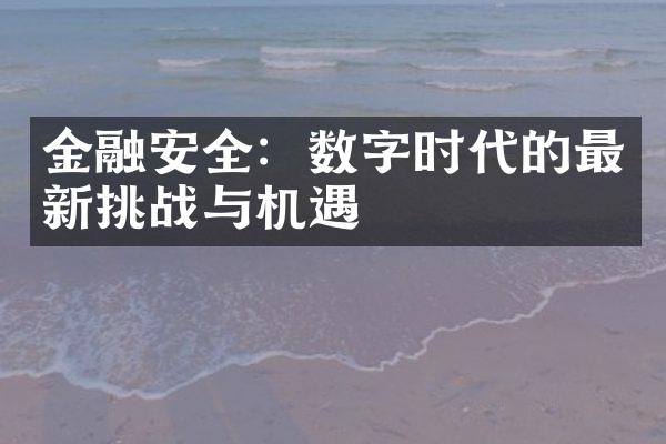 金融安全：数字时代的最新挑战与机遇