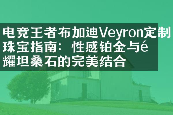 电竞王者布加迪Veyron定制珠宝指南：性感铂金与闪耀坦桑石的完美结合