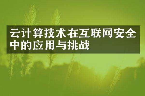 云计算技术在互联网安全中的应用与挑战