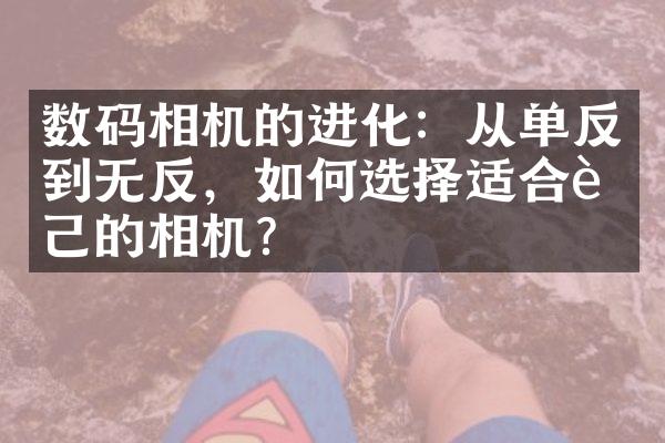 数码相机的进化：从单反到无反，如何选择适合自己的相机？