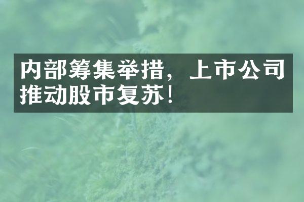 内部筹集举措，上市公司推动股市复苏！