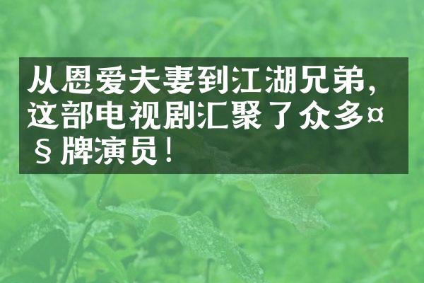 从恩爱夫妻到江湖兄弟，这部电视剧汇聚了众多大牌演员！