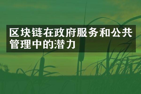 区块链在政府服务和公共管理中的潜力