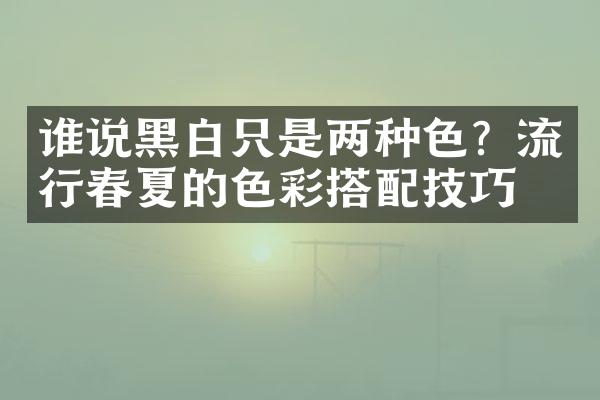 谁说黑白只是两种色？流行春夏的色彩搭配技巧