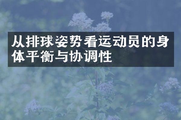 从排球姿势看运动员的身体平衡与协调性