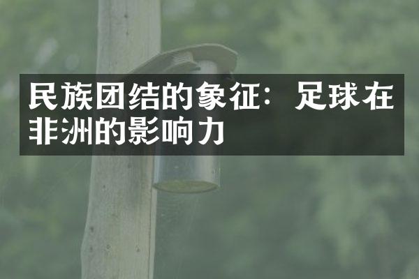 民族团结的象征：足球在非洲的影响力