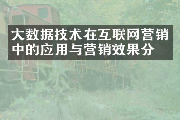 大数据技术在互联网营销中的应用与营销效果分析