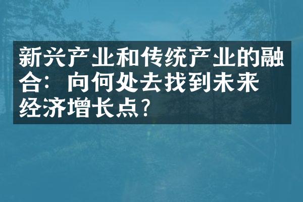 新兴产业和传统产业的融合：向何处去找到未来的经济增长点？