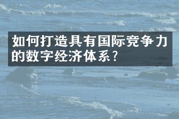 如何打造具有国际竞争力的数字经济体系？