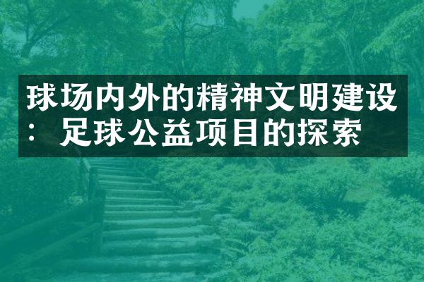 球场内外的精神文明建设：足球公益项目的探索