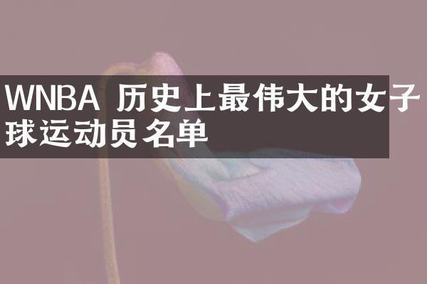 WNBA 历史上最的女子篮球运动员名单