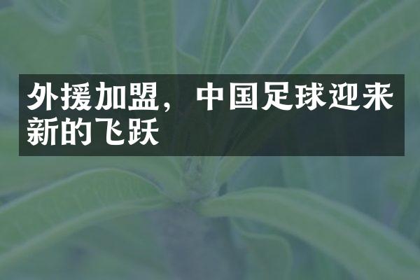 外援加盟，中国足球迎来新的飞跃