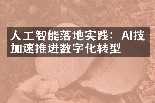 人工智能落地实践：AI技术加速推进数字化转型