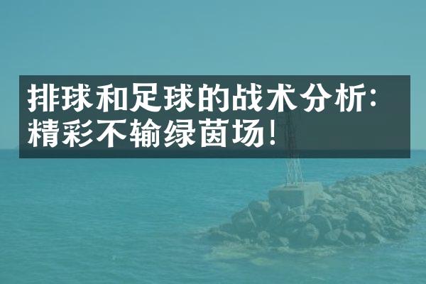 排球和足球的战术分析：精彩不输绿茵场！